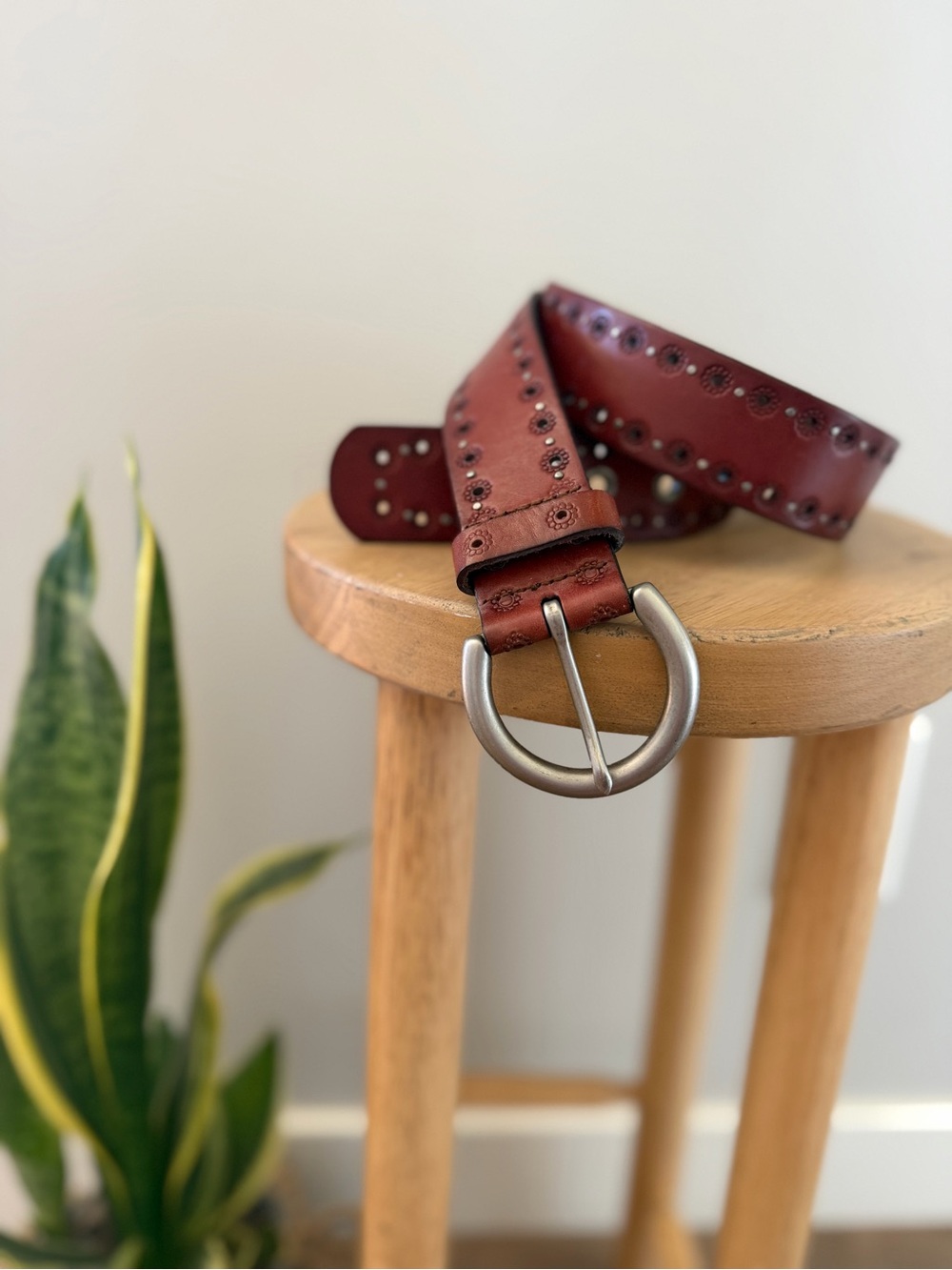 Fossil Brown Leather Studded Belt with Eyelets and Rounded Metal Buckle